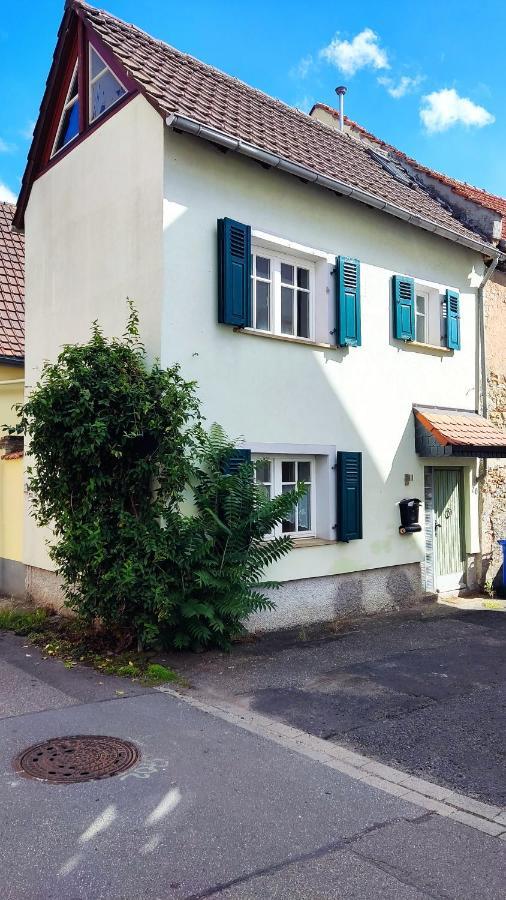 Schoenes Gemuetliches Haus Toplage フラインスハイム エクステリア 写真