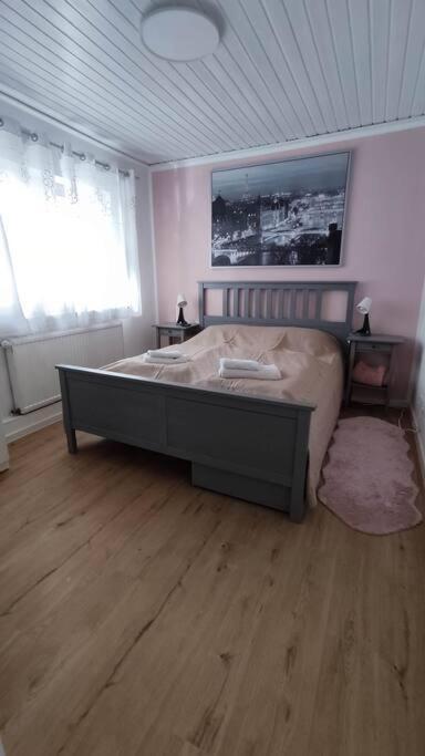 Schoenes Gemuetliches Haus Toplage フラインスハイム エクステリア 写真