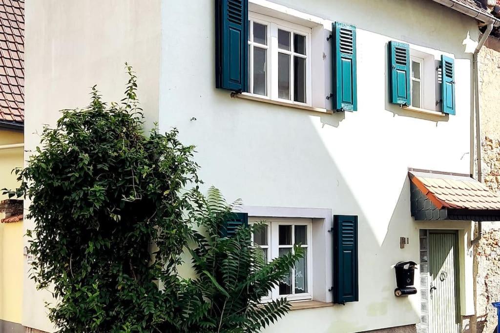 Schoenes Gemuetliches Haus Toplage フラインスハイム エクステリア 写真